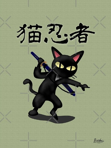 cat-ninja