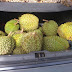 Pesta durian