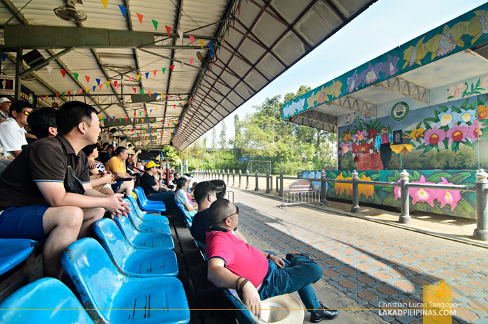 Samphran Elephant Ground & Zoo Elephant Show