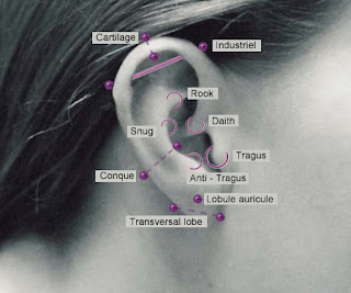 diagrama piercing orelha ear tragus