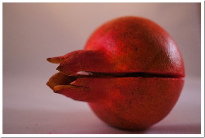 pomegranate-royalty-free-pictures-1 (1699) pomegranate-royalty-free-pictures-1 (1699)