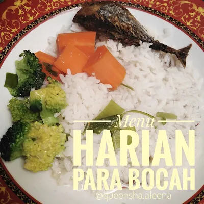 Menu Harian Bocah : Soup Sayur Kaldu Patin