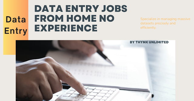 Data Entry Jobs from Home No Experience