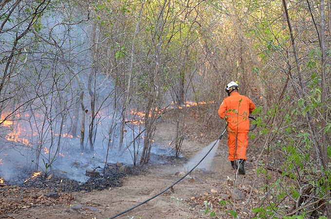 Vídeo: Incêndio devasta mais de 10 km de vegetação e ameaça atingir casas em Cocal dos Alves