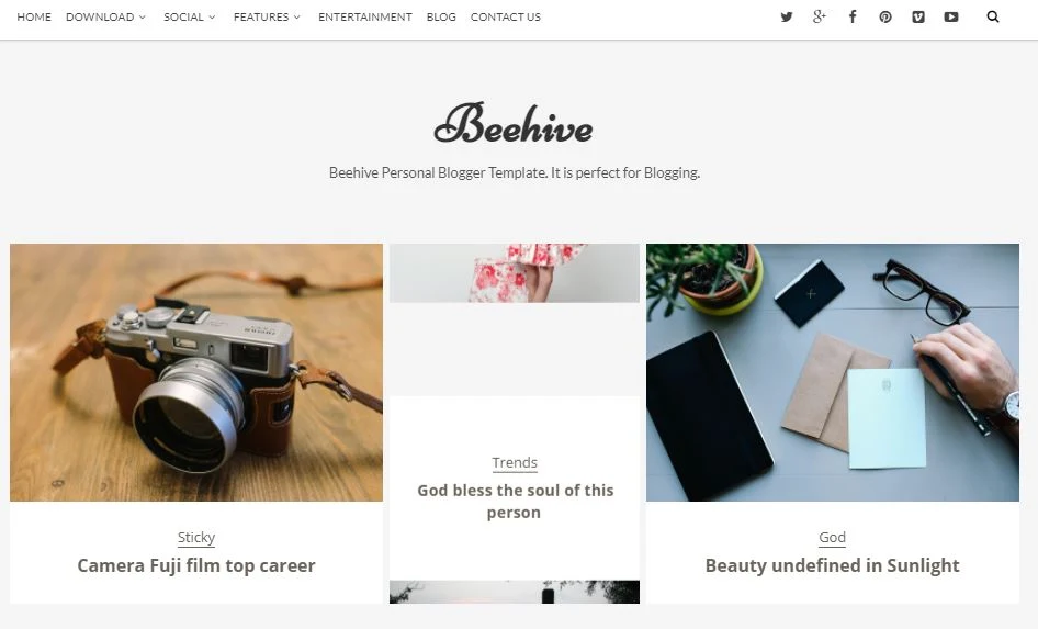 Beehive-premium-version-responsive-blogger-template-free-download