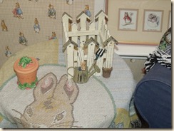 PeterRabbit 016