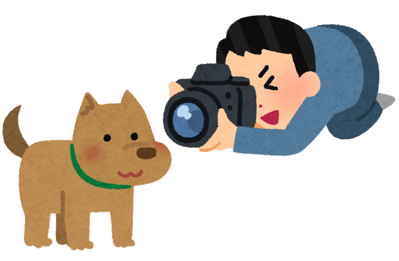 犬の写真を撮る人のイラスト かわいいフリー素材集 いらすとや