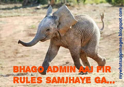 Whatsapp Admin Jokes in hindi