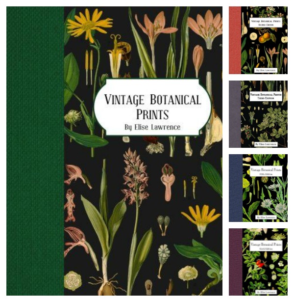 BOTANICAL ARTWORK BOOKS - Dimples and Tangles