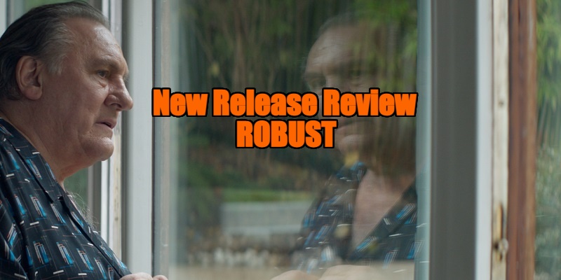 robust review