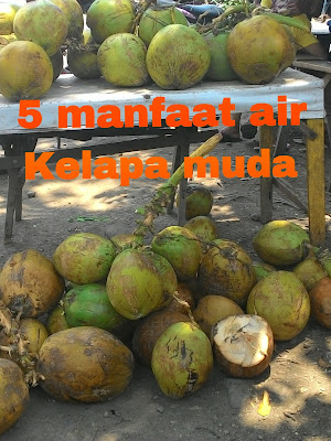 5 Manfaat Air Kelapa Muda Bagi Ibu Hamil