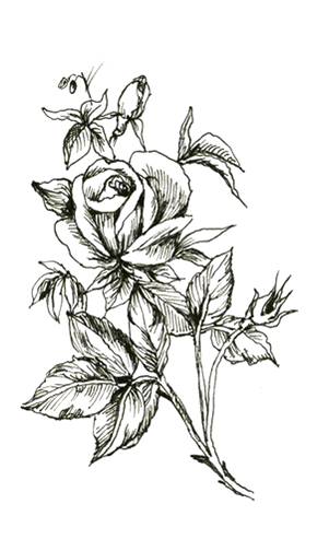 black and white rose tattoos designs Trend Tattoo Styles: Black and White Rose Tattoo