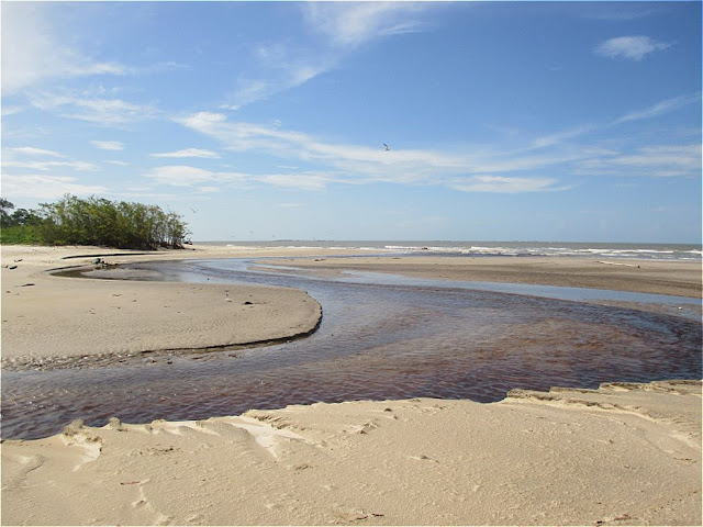 Guyane, Kourou, plage, roches