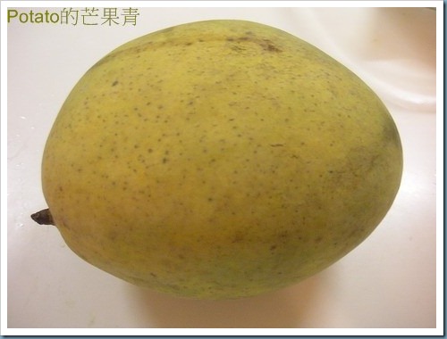 DSCN5229