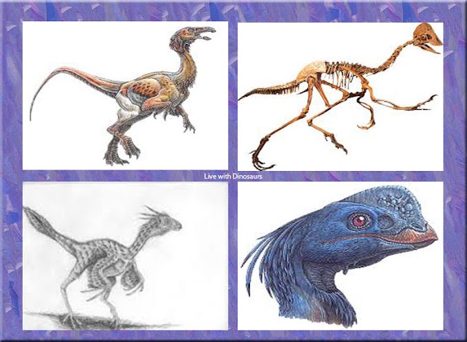 Avimimus Portentosus Dinosaur Life