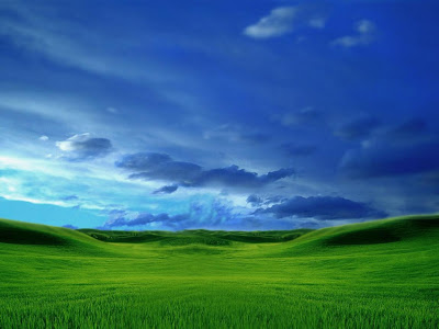 blue sky grass. Green Grass Blue Sky Wallpaper