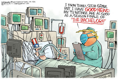 trump ratings cartoon