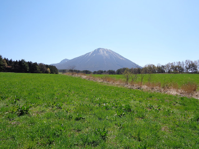 牧草地の道からの大山の眺望