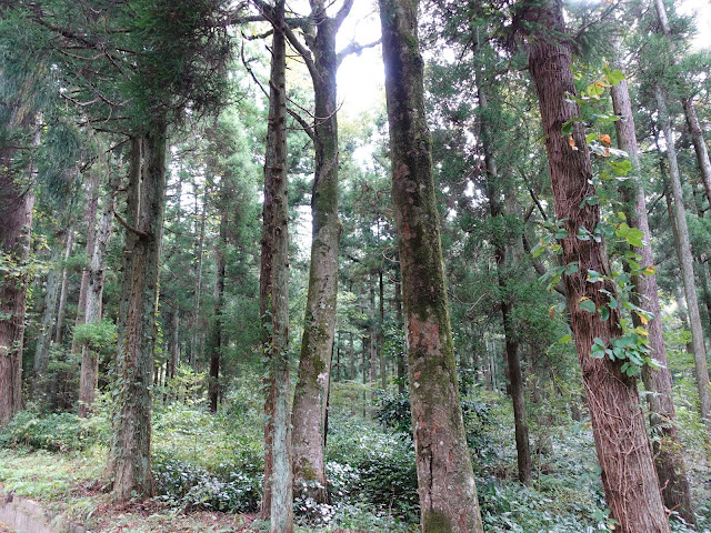 籠立橋バス停に向かいます