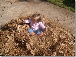 Picture 032
