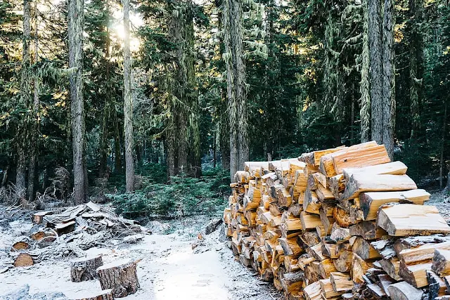 What do mean by seasoning of timber? Explain methods of Seasoning.