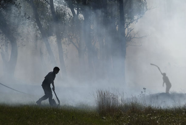 Fire in the fields