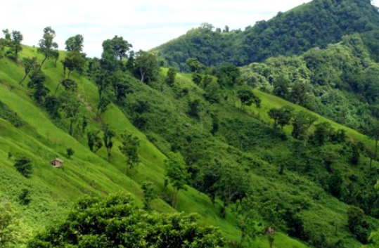 Tour to Darjeeling