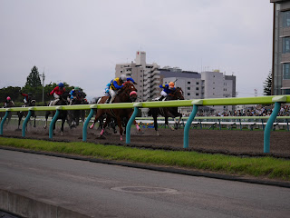 福島競馬場　ダート