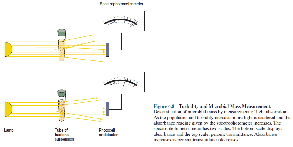 Turbidity and Microbial Mass Measurement