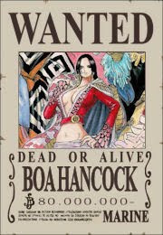 bounty_boa_hancock_schichibukai_one piece