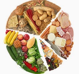 Besoins nutritionnels de l’adulte