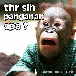 Gambar2 DP BBM "Meme THR" paling Lucu Terbaru 2016