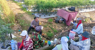 Sambang Petani Langsung di Sawah, Bhabinkamtibmas Polsek Temon Sampaikan Pesan Kamtibmas