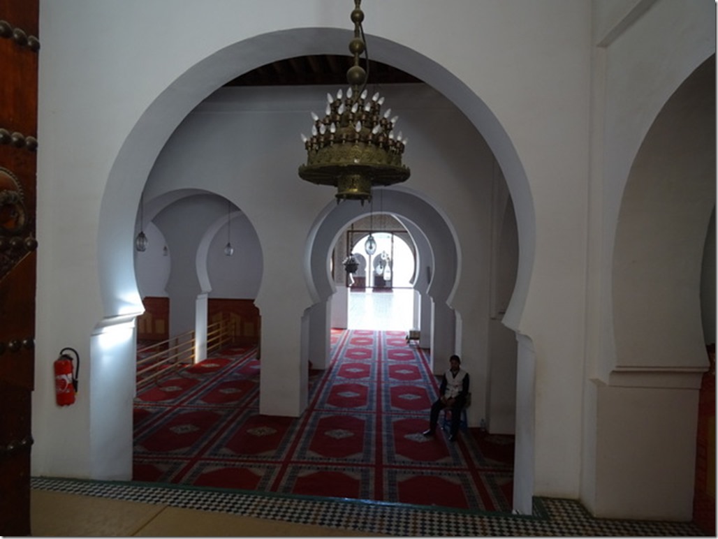 12-DSC05354