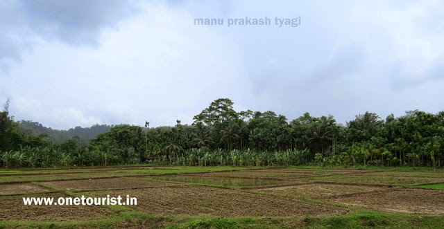 saddle peak trek andaman