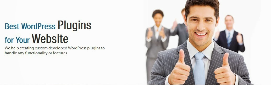 wordpress development india,custom wordpress development company,wordpress plugin developers india