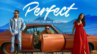 Perfect Lyrics | Gurinder | Badshah | Robby Singh