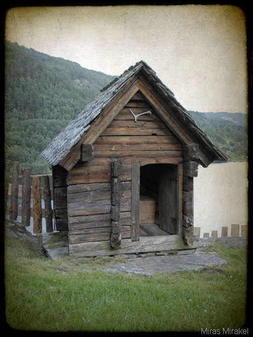 _DSC0360nh