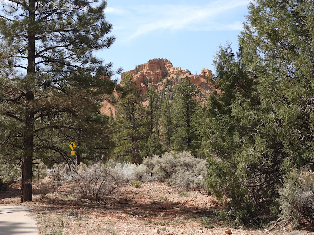 Red Canyon