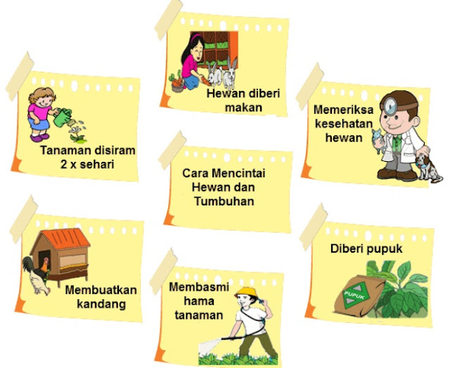  Materi dan Kunci Jawaban Tematik Kelas  Kunci Jawaban Tematik Kelas 4 Tema 3 Subtema 3 Halaman 111, 113, 114