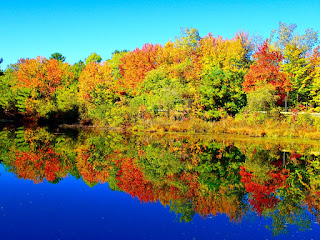 Fall Foliage Reflected in Quinebaug River Old Sturbridge Village Massachusetts