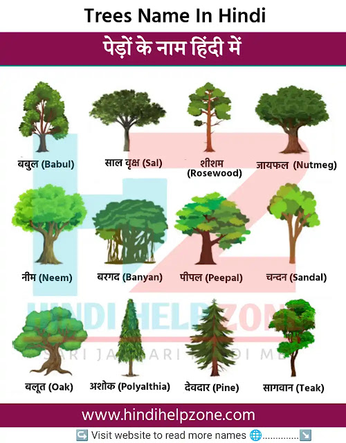 Tree Name In Hindi | पेड़ों के नाम + pictures