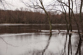Spring high water, St. Croix River