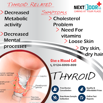 Natural Ways to Boost Thyroid Function