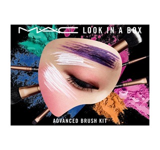 Look In A Box Advanced Brush Kit1