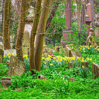 Tower Hamlets Cemetery