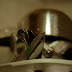 Knives.. I don't like them too much
