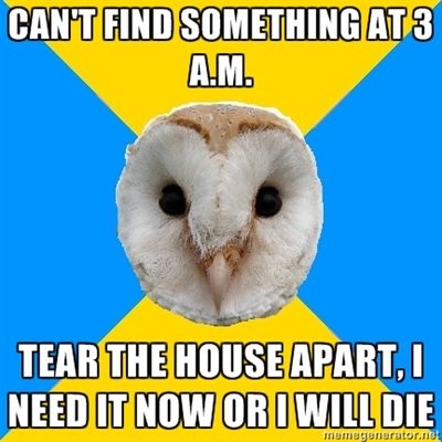 bipolar owl no sleep