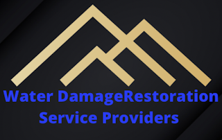 Water damage restoration company logo