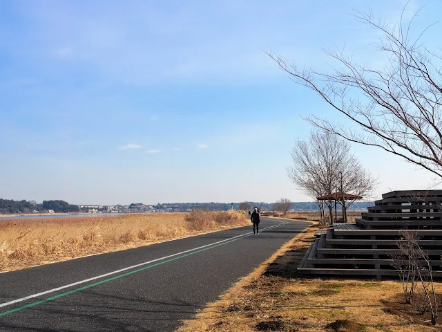 手賀沼自然ふれあい緑道